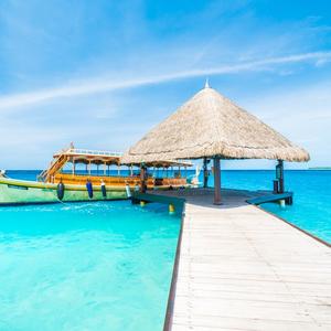 智勇双全的风筝