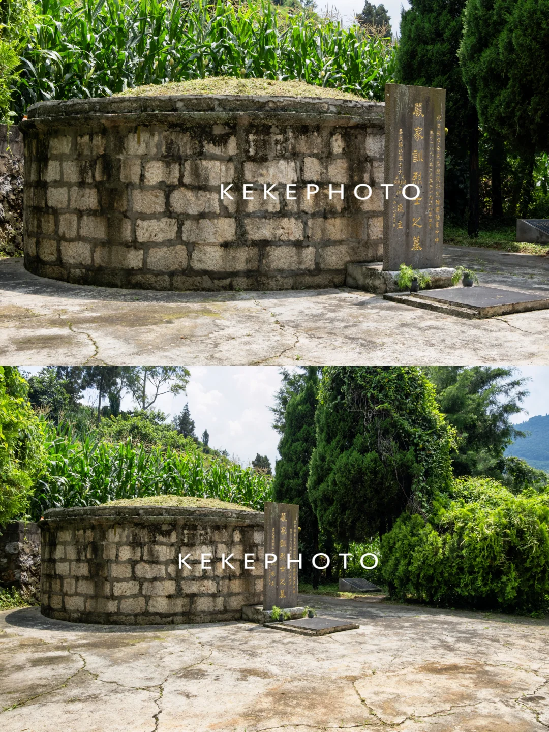 台儿庄战役抗日英雄，严家训烈士墓