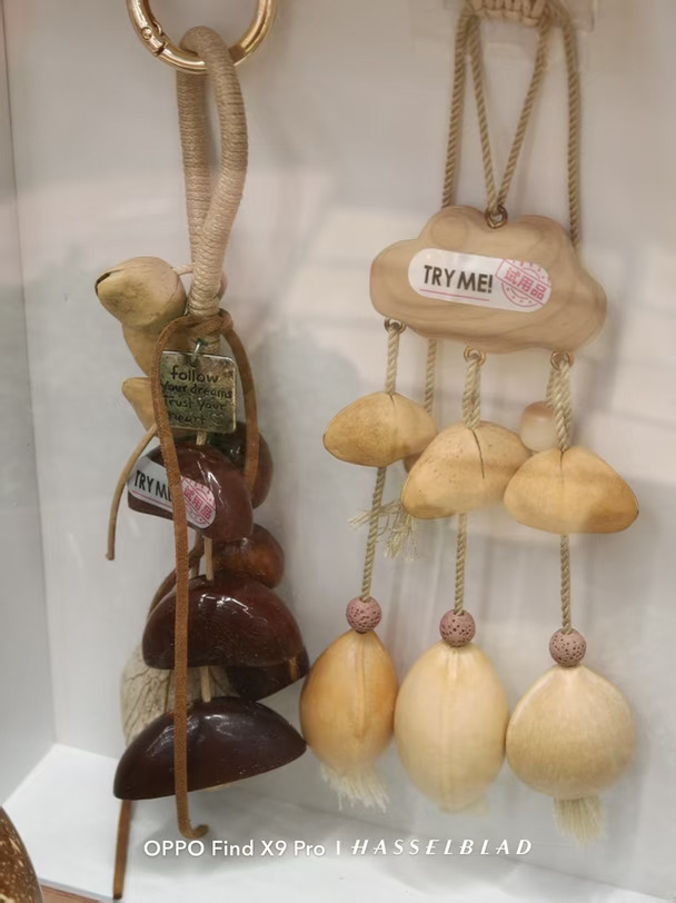 收集一些来自大自然的小美好，果壳风铃叮咚作响，满眼治愈的绿意，平凡小物也很动人。#OPPO原相机发力了#OPPO影像大赛#OPPOFindX10 #OPPO旅拍神器  #O粉会