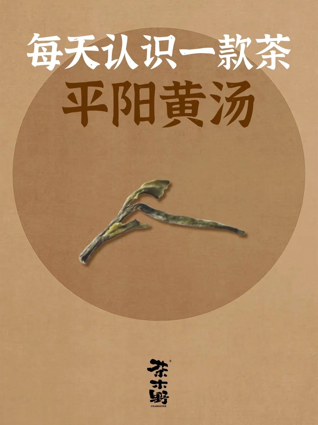 知识分享丨一分钟了解平阳黄汤