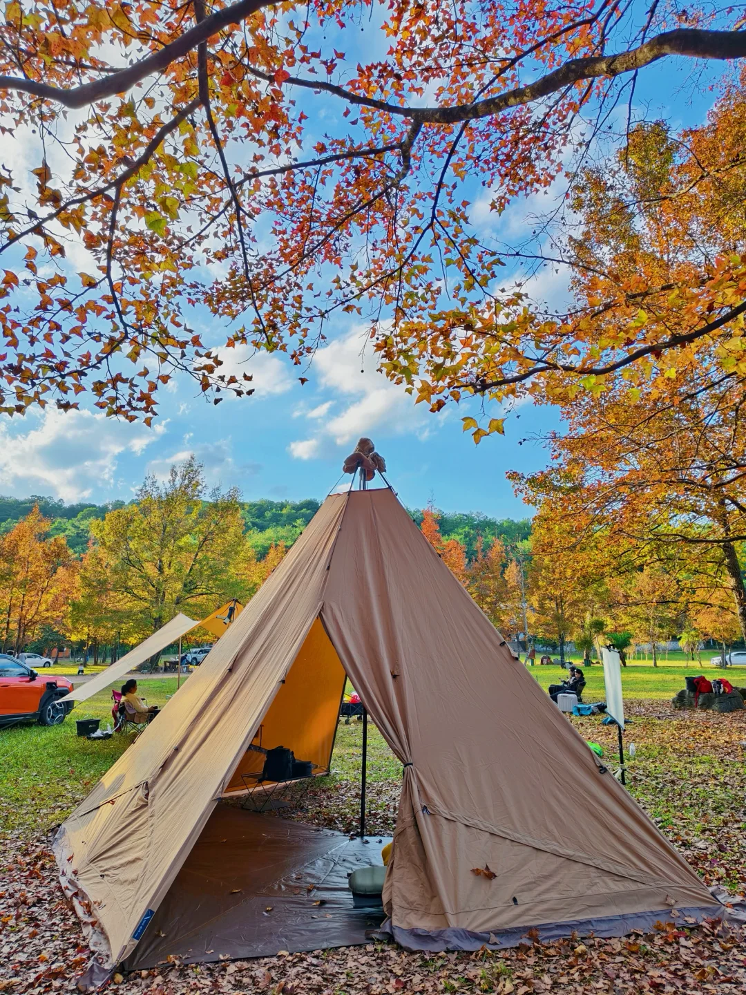 南宁人请准备！即将进入红枫最佳观赏期🍁