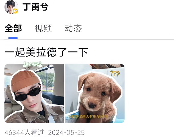 对丁禹兮的考古发掘不到万分之一