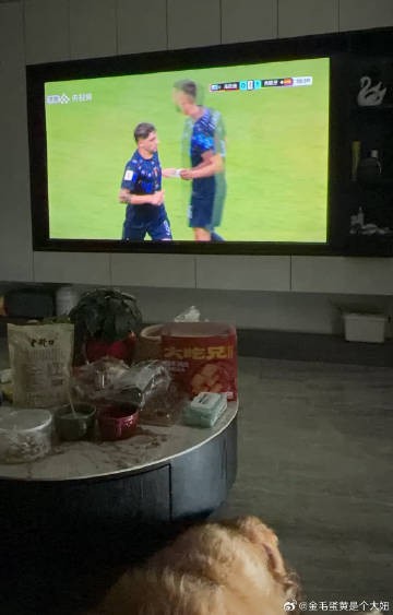恭喜我牙🇪🇸顺利晋级！<br />姐姐挺谁我挺谁～小狗是最好的追球...
