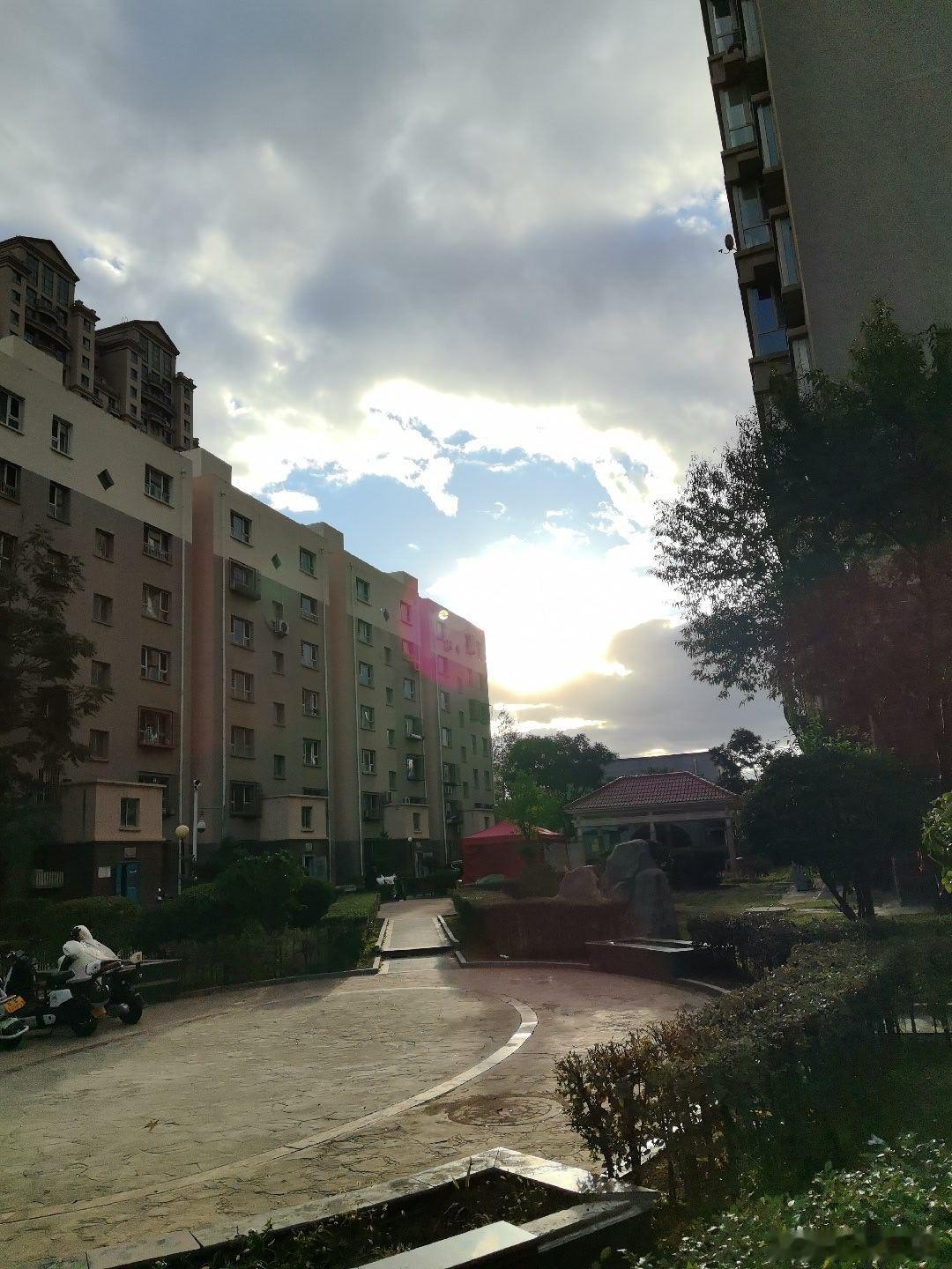 秋雨过后
秋雨无力动地天
猛推寒潮到人间
狂风袭击小树抖
寒云无情日光淡
街头再无翁妪坐
路人难觅穿短衫
四季轮回年复年
人生何惧暑与寒 ​