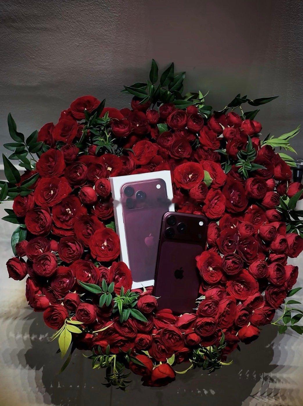 #2026秋冬流行色 

红蕾丝玫瑰与iPhone18的适配度
————————勃垦第酒红

克制 低调 有情绪与温度 ～  ​