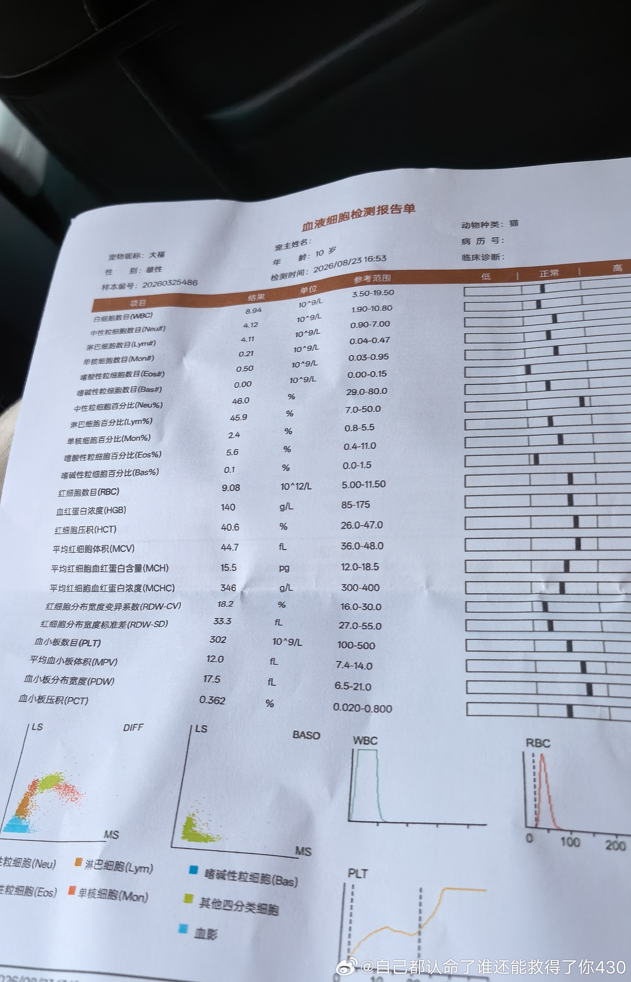 记录大福咪咪第三次不能自主小便，大夫说不是应激了就是着凉了。在家什么事也没发生怎么会应激了呢？我觉得是着凉了。空调除家里没人了才关掉的！
第一次是小时候在家我给洗澡应激了
第二次是跟朋友的猫一起去打针回来后就应激了
比我看病都贵😄
医保的重要性🤔
5位大夫“伺候”啊！
俩位大夫前爪 ​