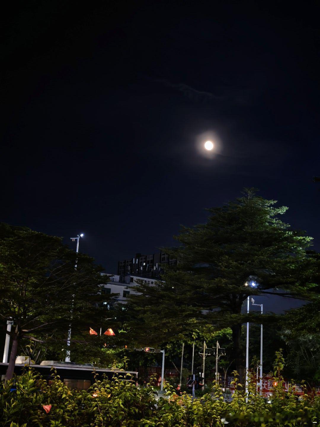 是团圆也是短暂的分离 ​