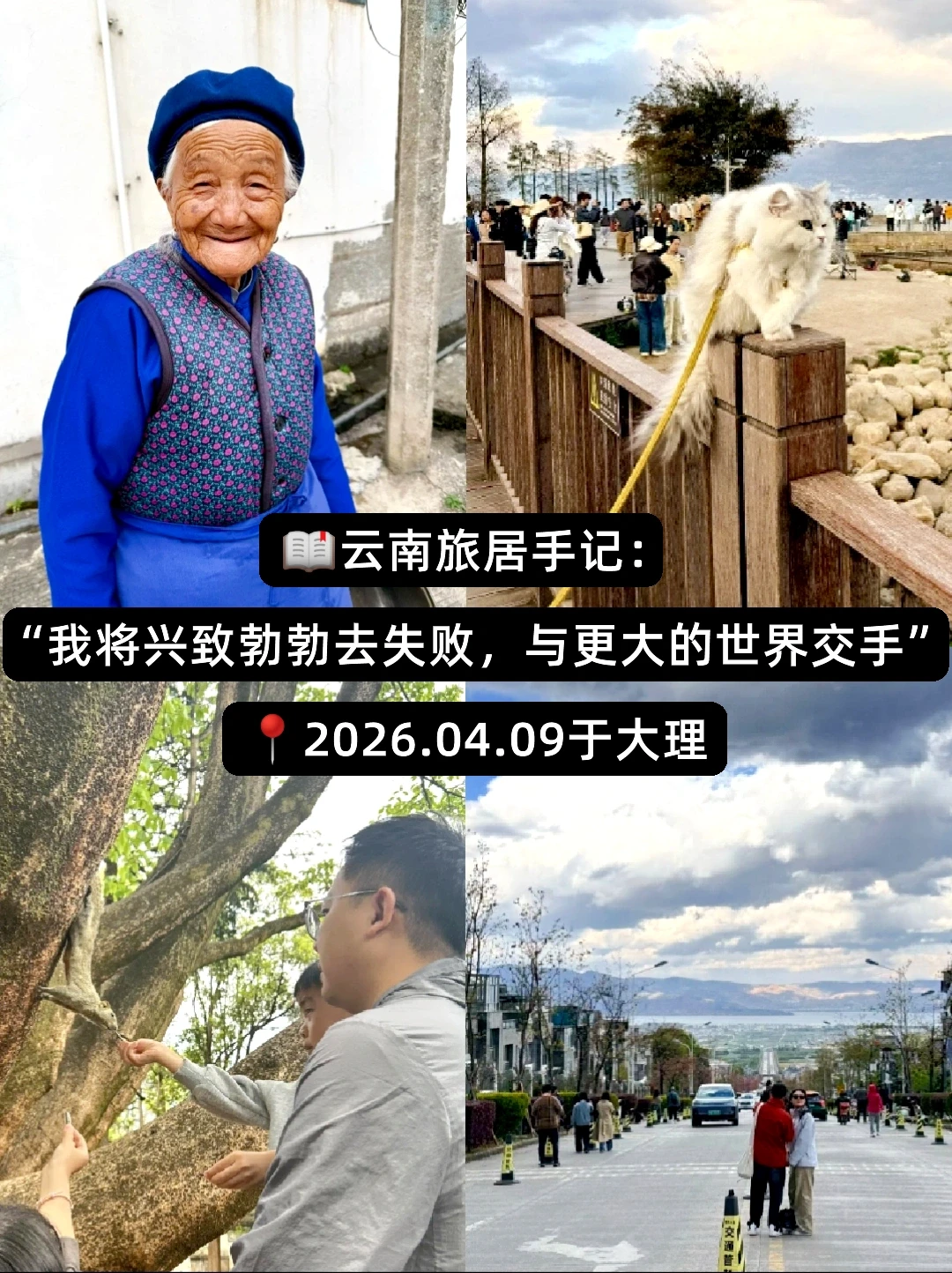 🙃我将兴致勃勃去失败，与世界交手～🙋