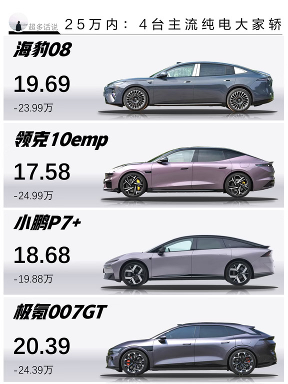 25万内：4台主流纯电大家轿