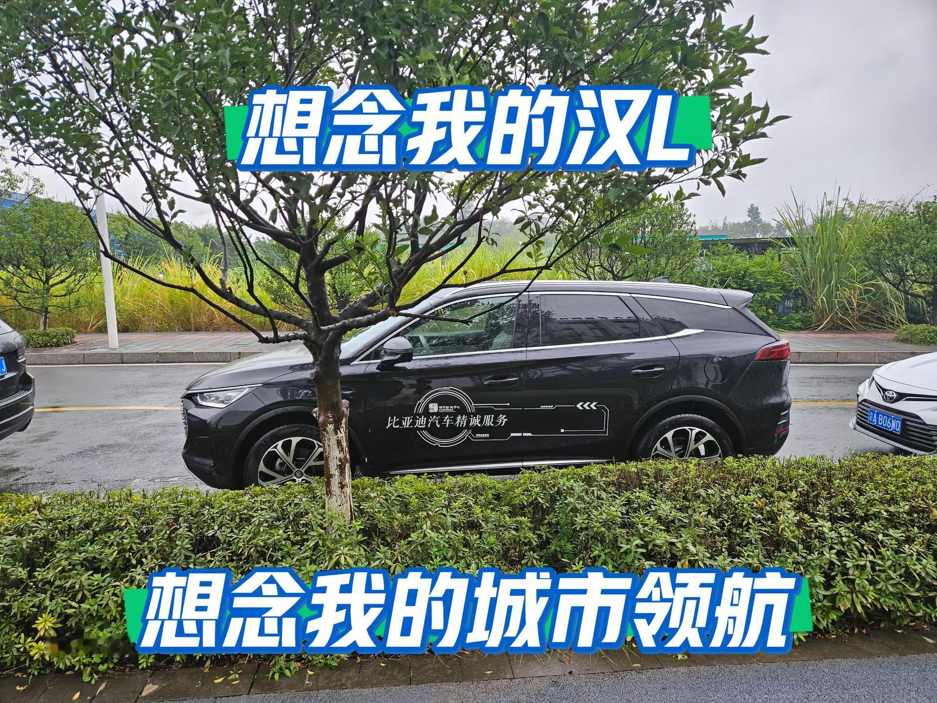 代步车虽好，还是十分想念我的出行搭子汉L.比亚迪汉L 比亚迪唐