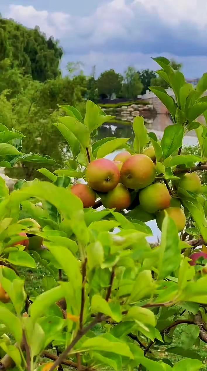 祝你人生得意须尽欢