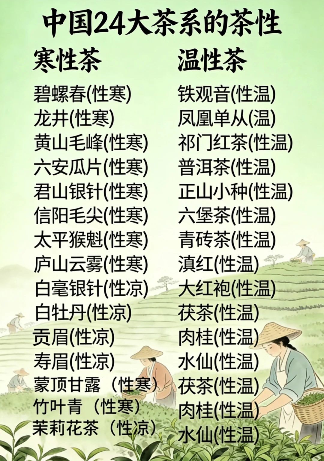 24大茶系茶性大揭秘🔥别再喝错茶