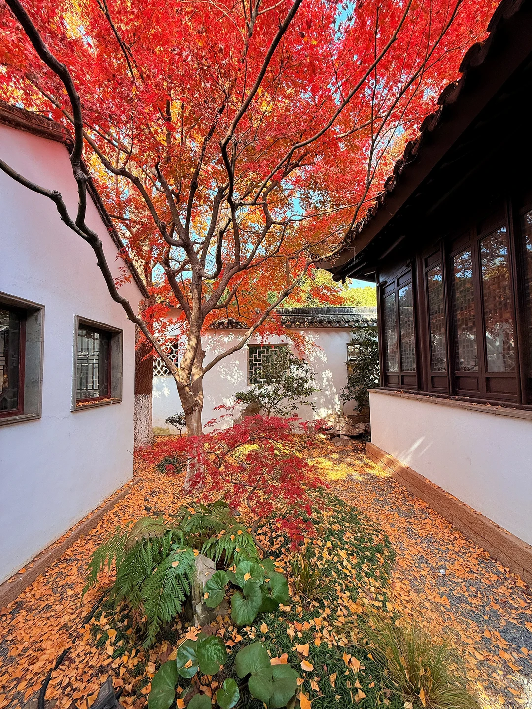 不愧是苏州❗️你永远可以相信老祖宗的审美‼️