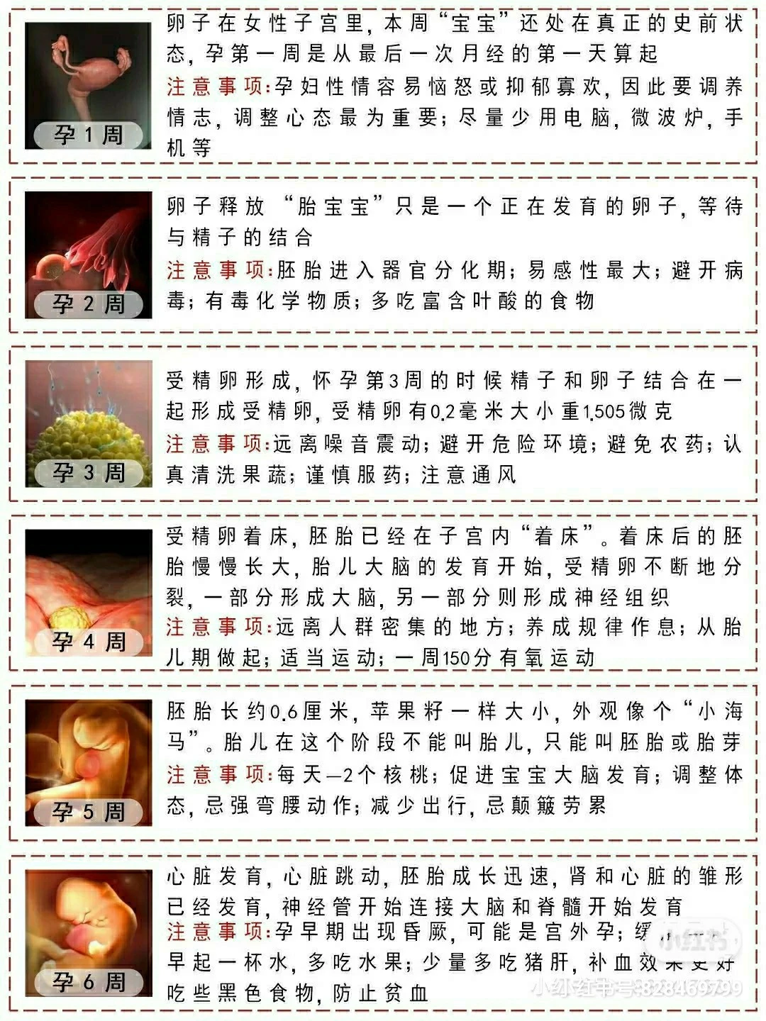 准妈妈必看:怀孕期间注意事项