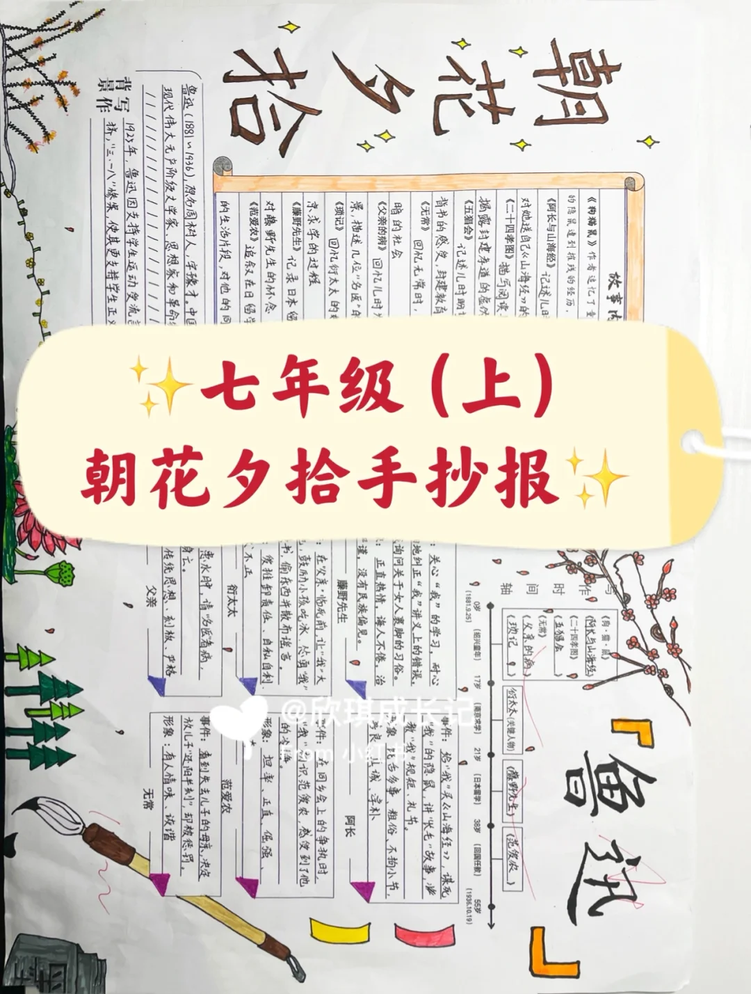 朝花夕拾手抄报（完整版）