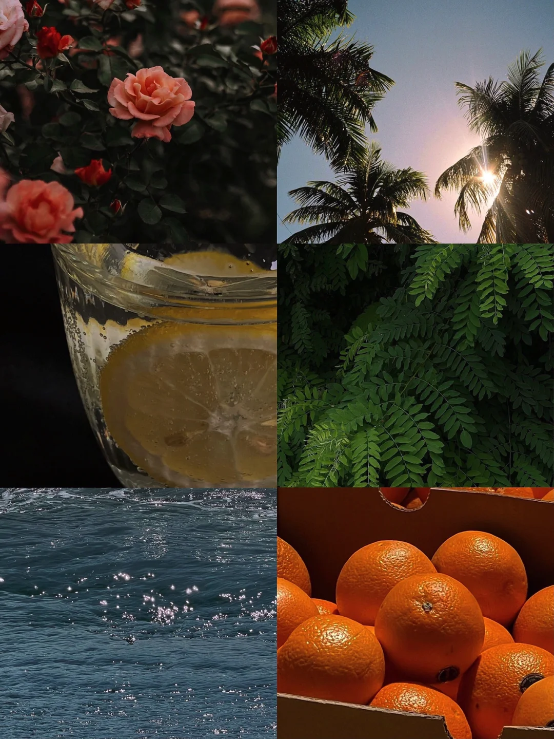 日常记录🗳这个高级暗调滤镜太有质感啦