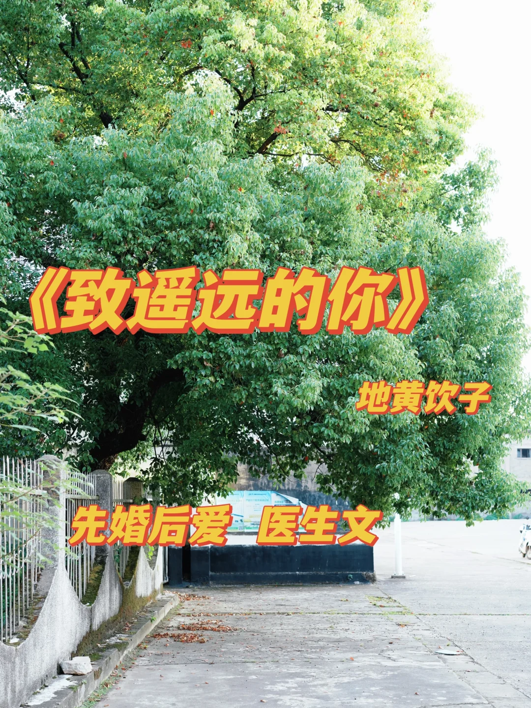 很爱的先婚后爱古早医生文。