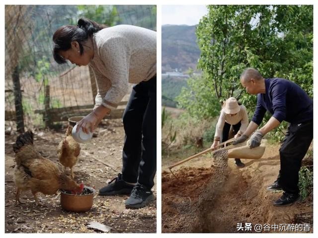 带4000元隐居大理深山，孩子不上学惹争汊