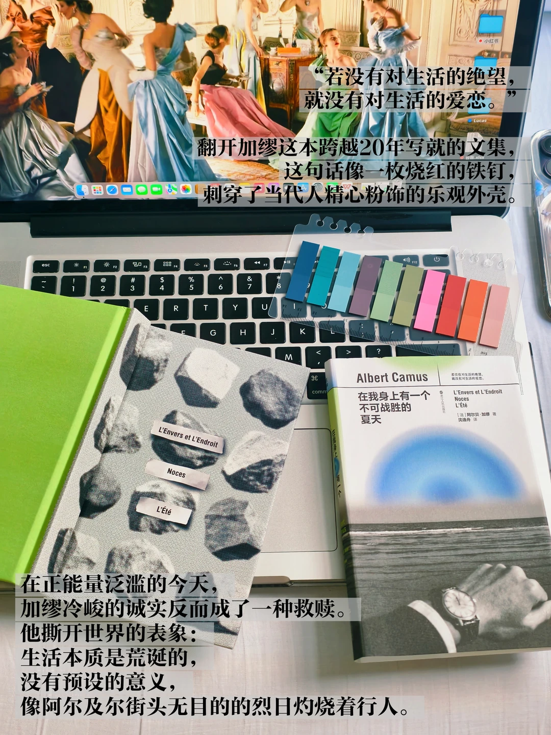 在绝望中热爱生活，加缪教我叛逆生长