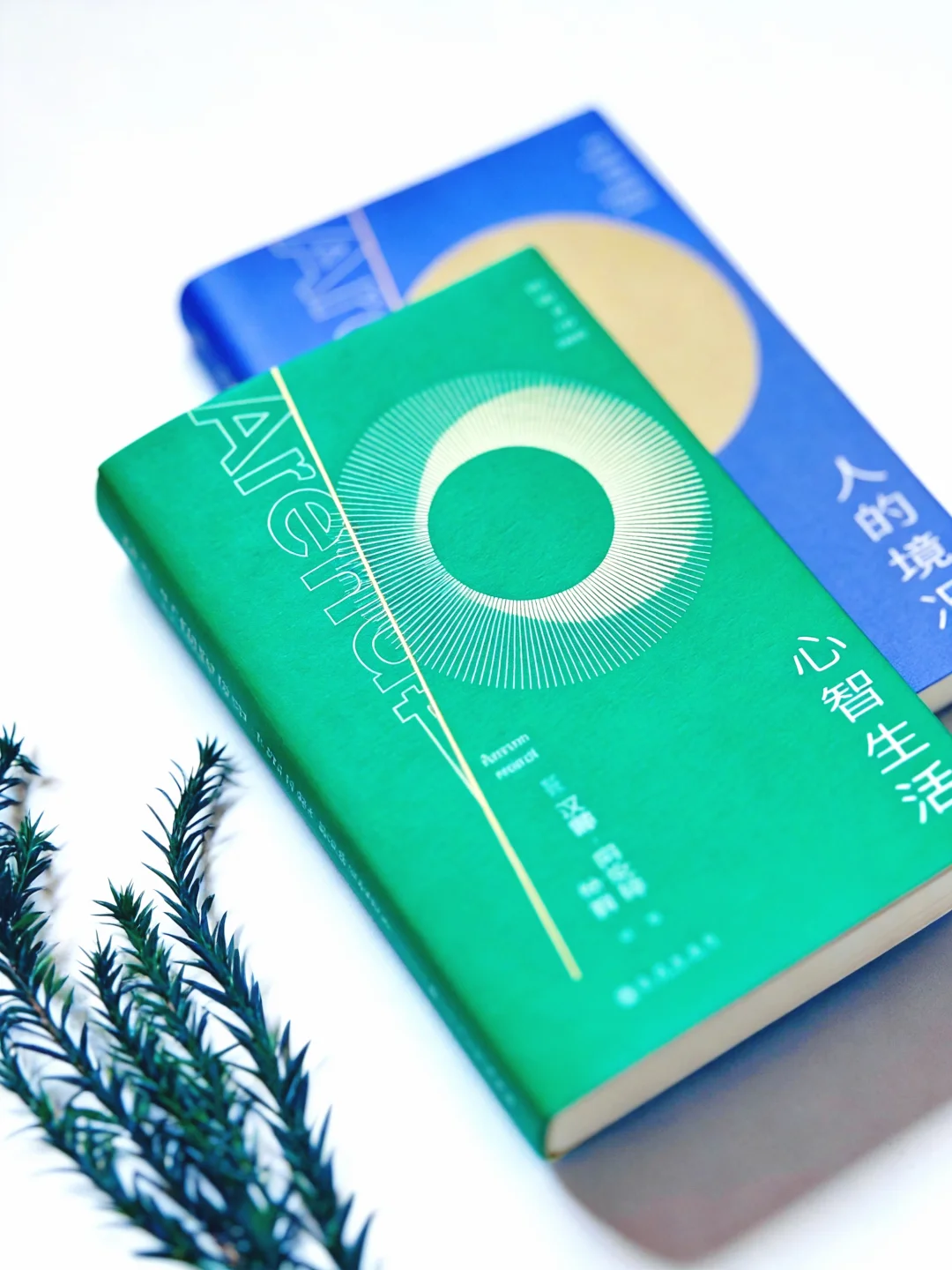 哲学读到怀疑人生？别慌，这个长脑子的最快