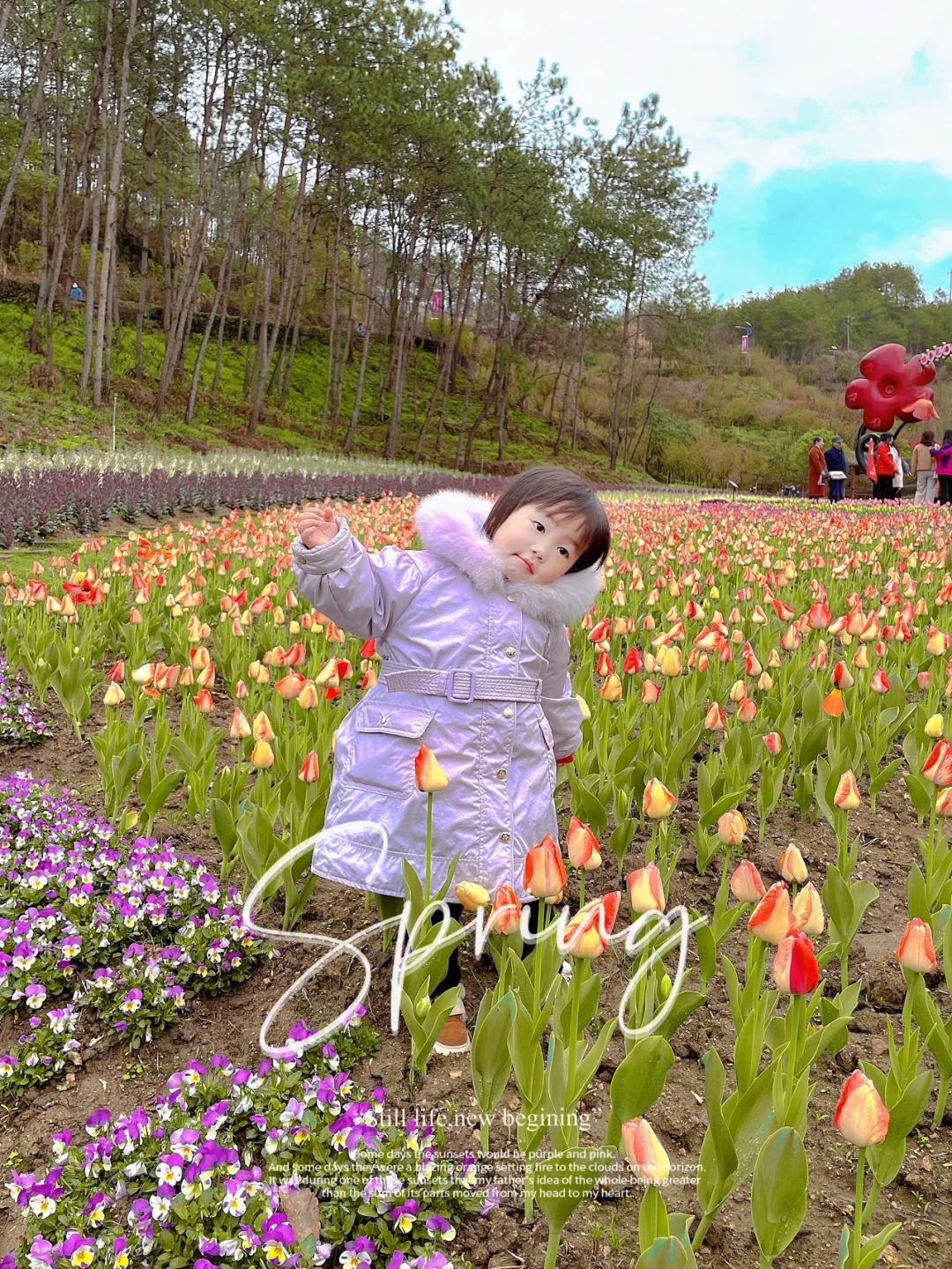 武汉周边游|黄冈英山四季花海·花千谷