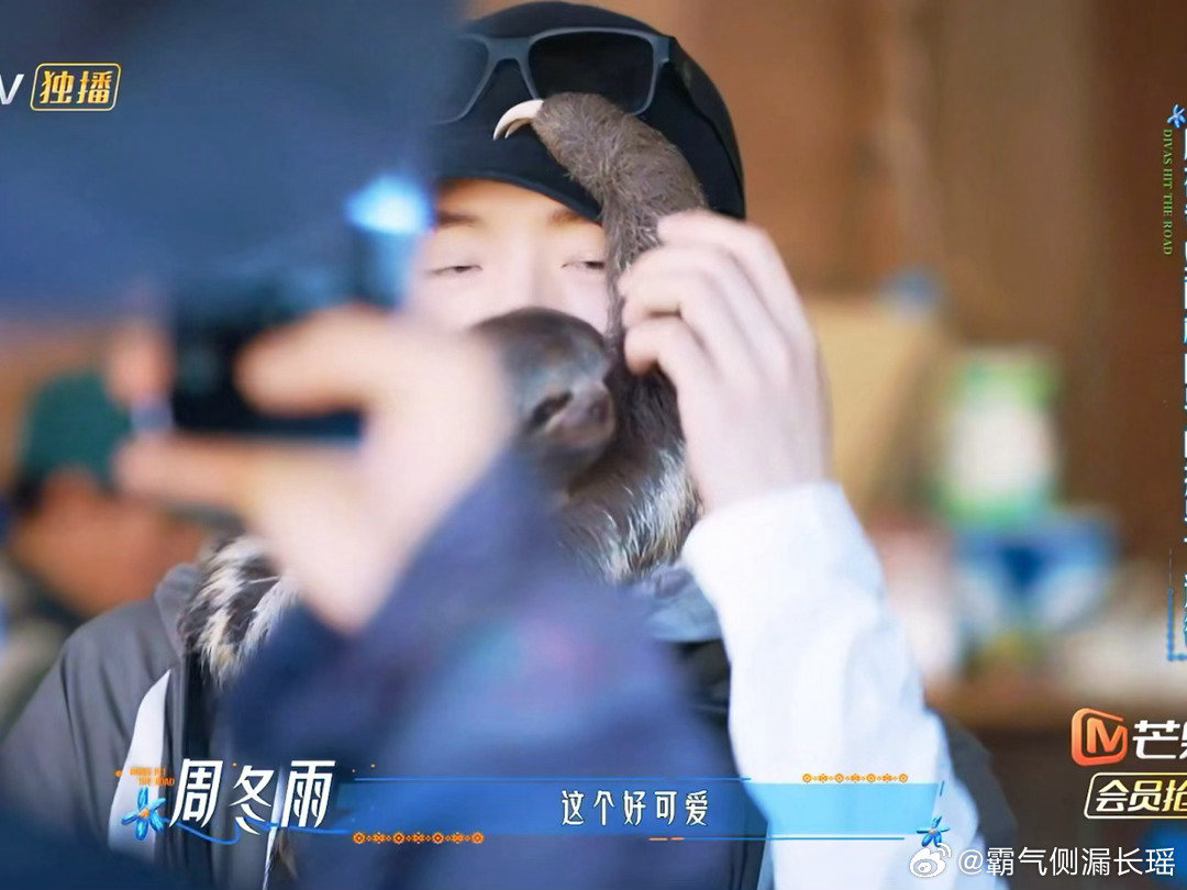 #花少找到树懒最出片的方式# 花少这季选的地方真的很有心，秘鲁雨林这种小众又治愈的目的地，配上树懒这种自带流量的动物，出片率拉满。#花少团集体被树懒拿捏了##花少同款旅拍神器# ​