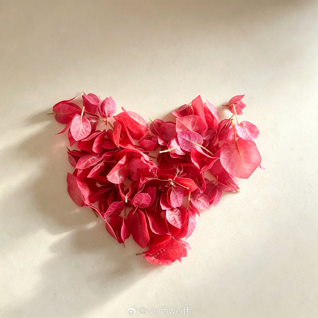 #疑似肖战经纪人朋友圈#
不管是不是经纪人的朋友圈，都要鼓励和支持公平竞争。当然，还有运气[笑cry]所以还是要保佑我一定要抢到票[祈祷][祈祷][祈祷] ​