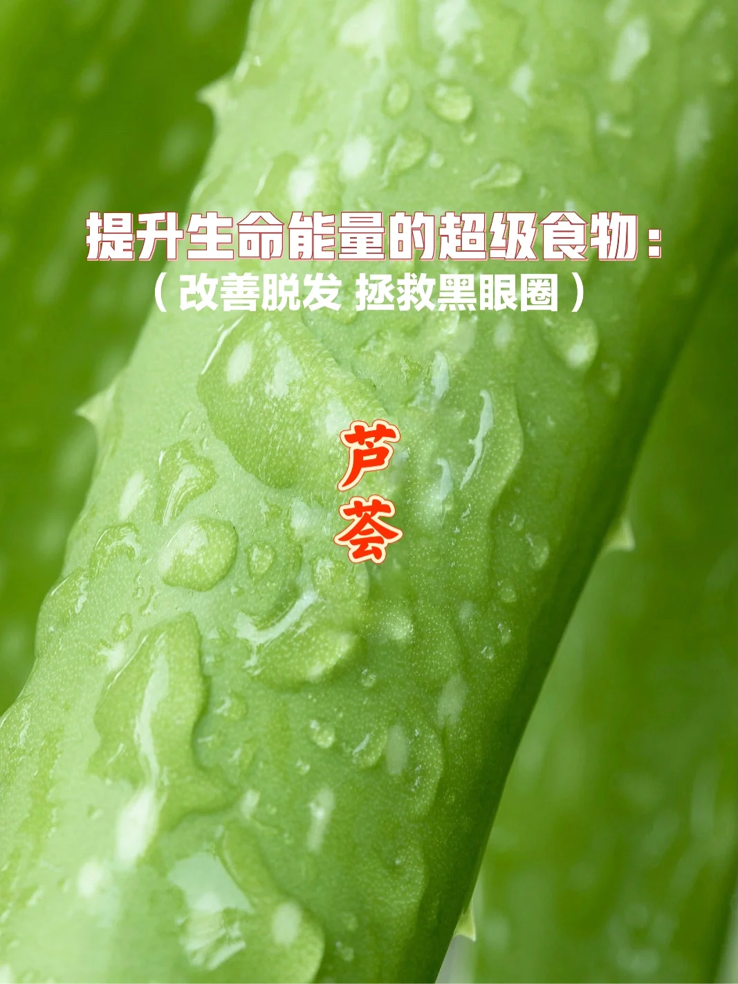 宇宙疗愈食物之：芦荟（内服效果更强大）