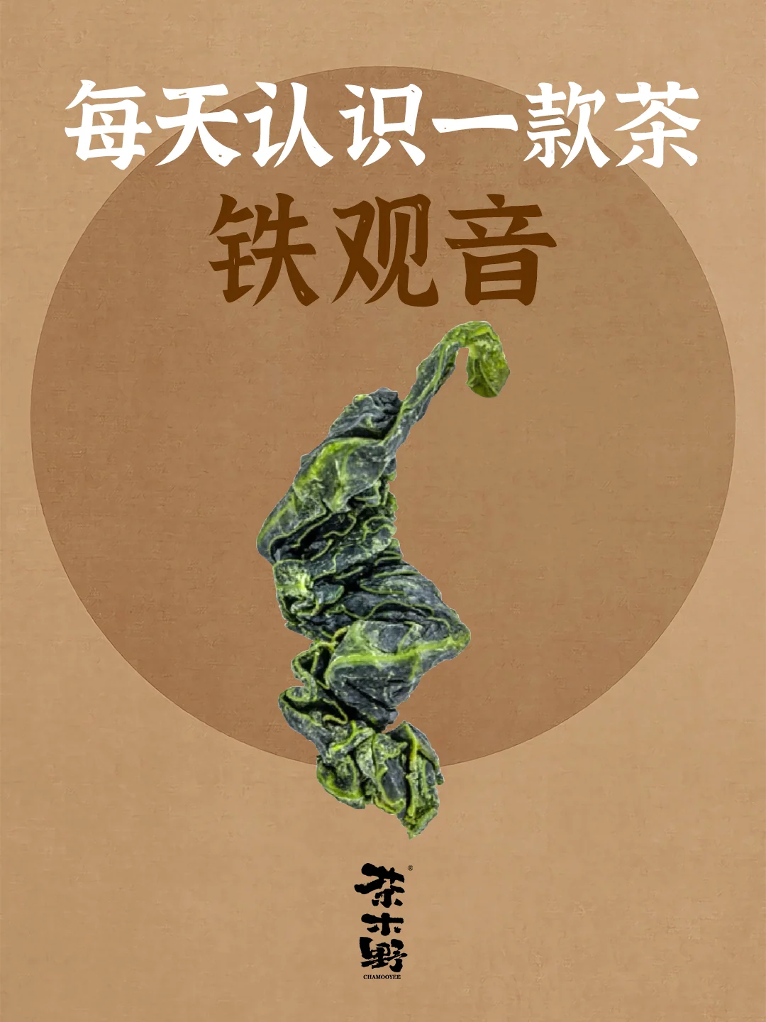 知识分享丨一分钟了解铁观音