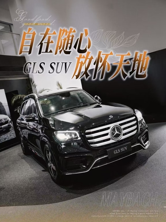 自在随心，放怀天地，豪华随行 奔驰GLS
