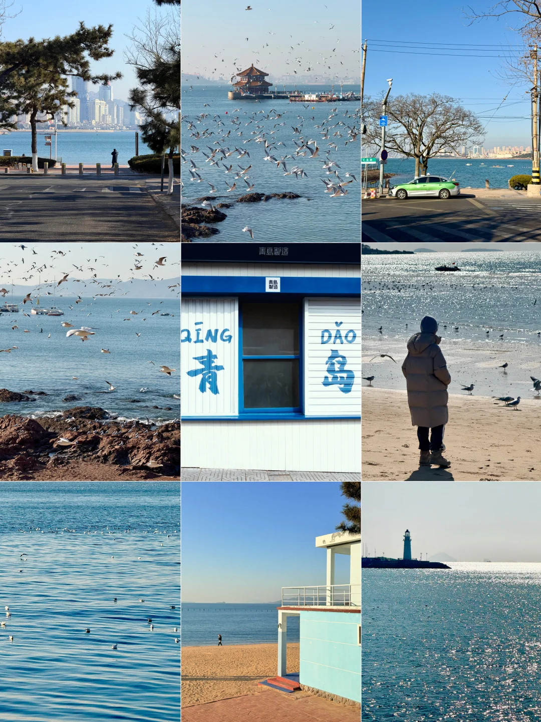 青岛半日游｜🌊3个小时玩转精华版