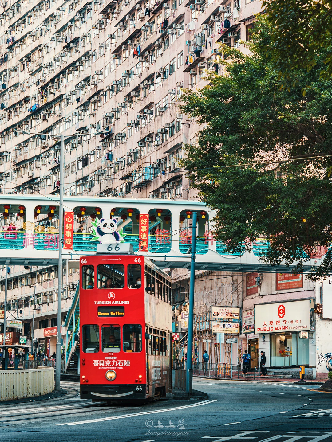 如果此生只去一次香港，建议复制这条路线‼️