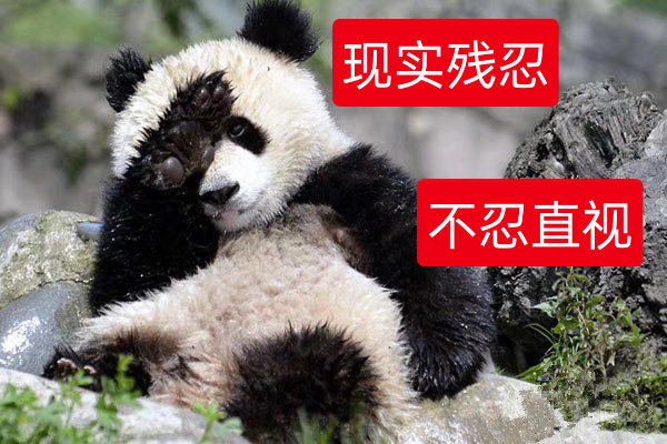 #卫健委称不正确婚育观需引导#不正确婚育观包括——拐卖，家暴，强奸，婚内出轨，婚内与小三弄假结婚证，婚内与小三做胚胎，婚内搞出私生子。除此外，家务，育儿，孝心女性承包制，……还包括婚内家暴，性侵，杀人低责化，无责化……配套家丑不外扬…… 离婚冷静期裹脚布……  ​