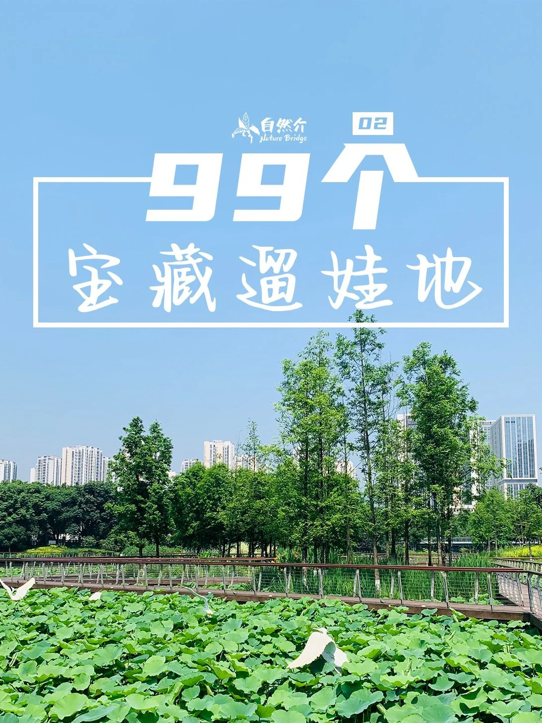 打卡99个宝藏遛娃地-叠水公园
