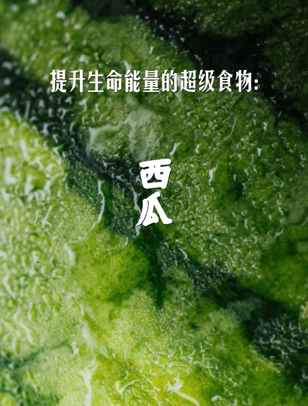 宇宙疗愈食物之：西瓜🍉