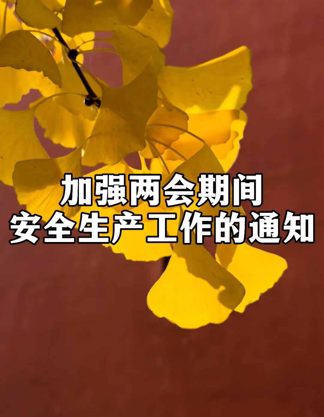 体制内：加强两会期间安全生产工作的通知