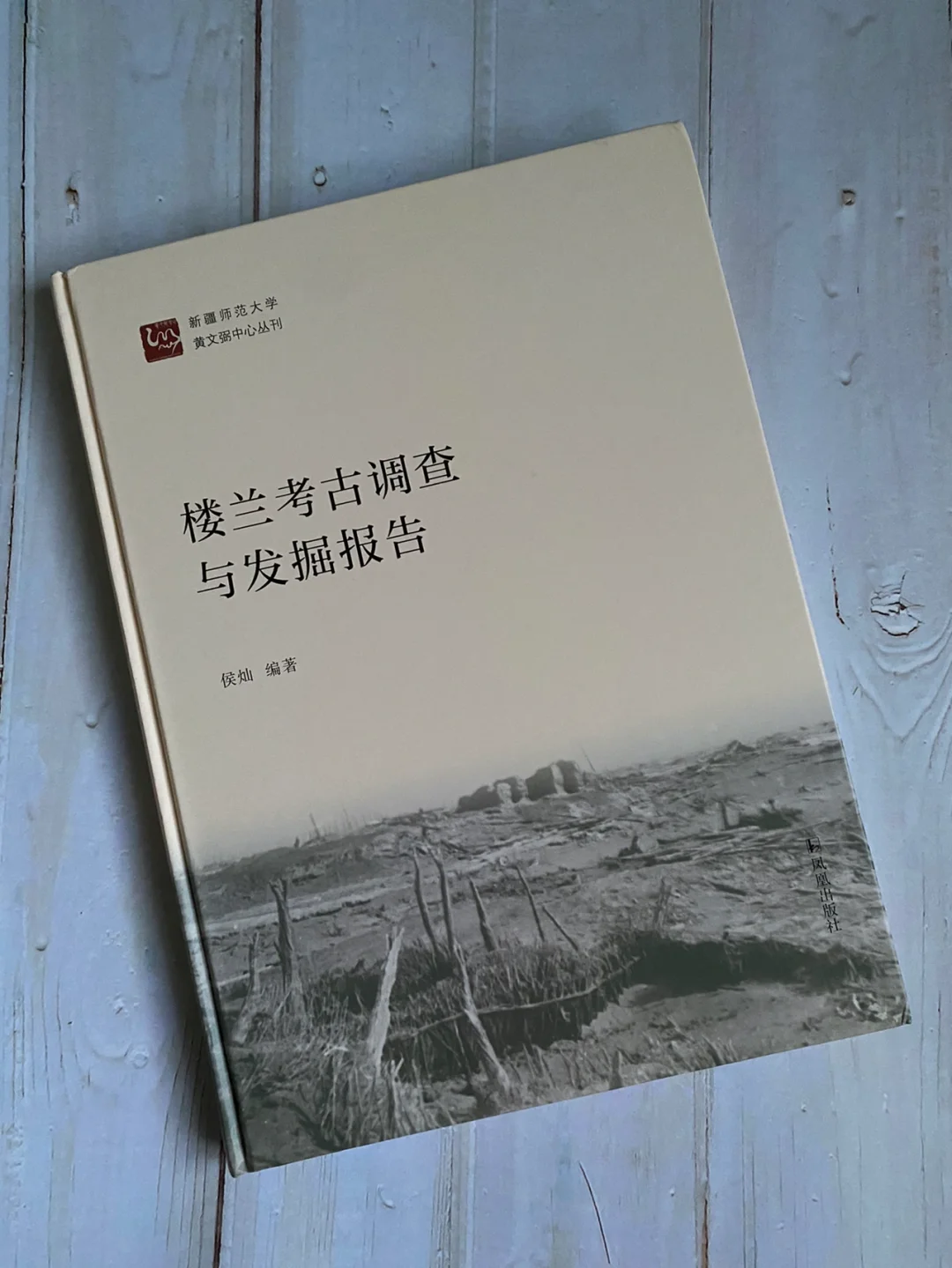 冷门考古学术专业书籍推荐| 楼兰考古报告