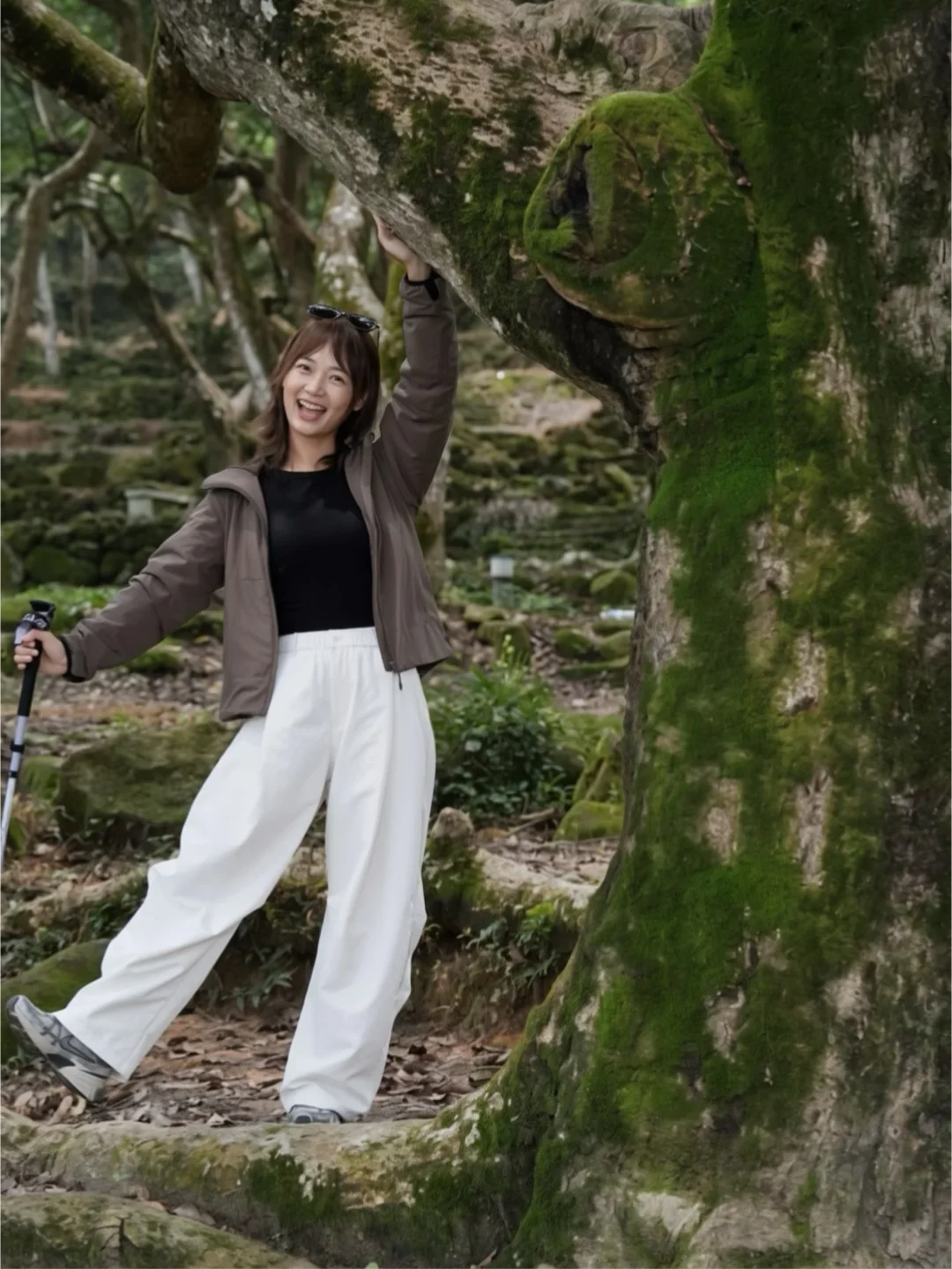 广州绿光森林🌳百年乌榄古树轻徒步