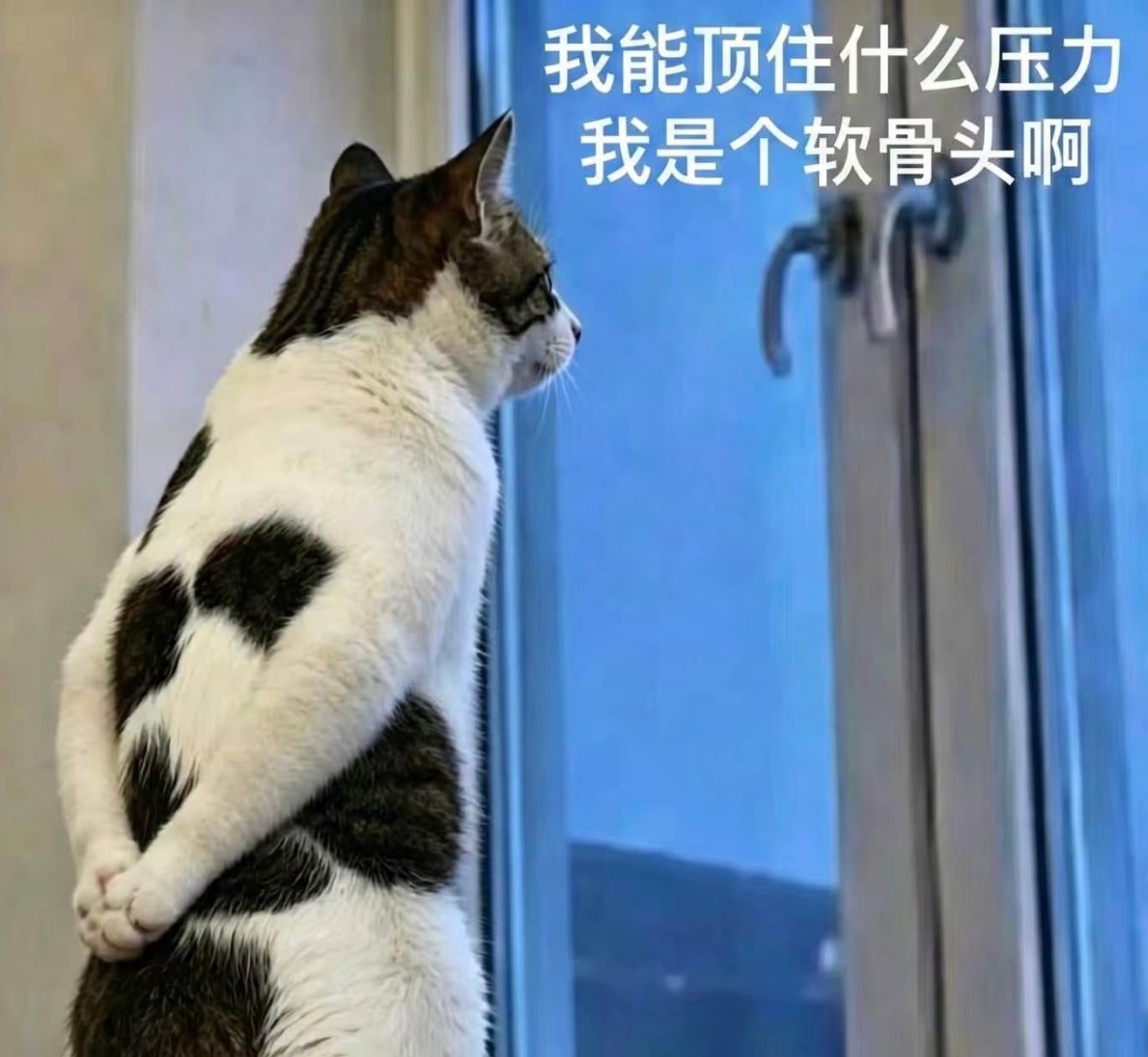 我是和光一手带大的， 身上自然有和光的影子… ​​​