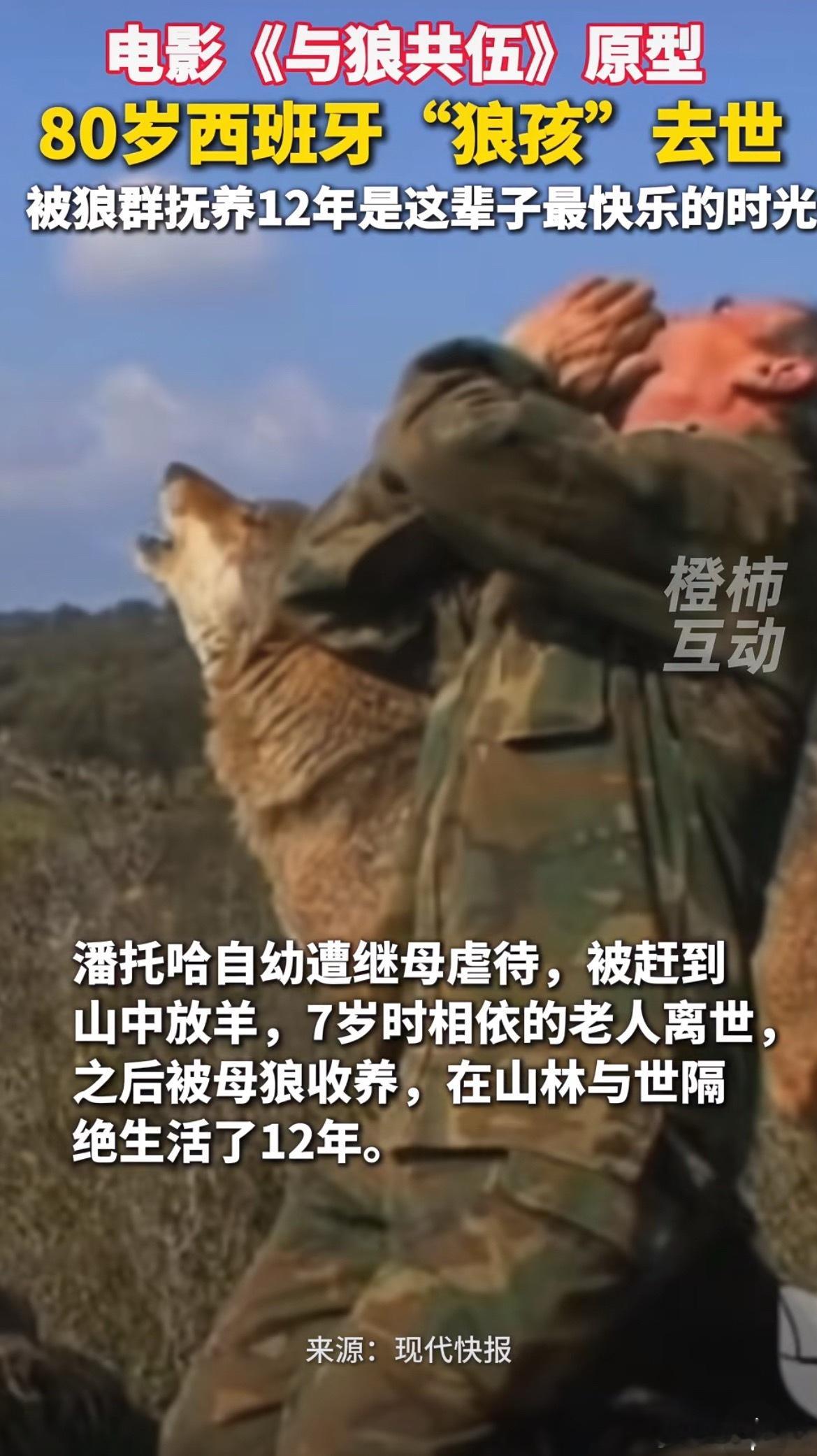 #曾被狼群抚养12年狼孩去世#
马科斯·罗德里格斯·潘托哈，西班牙著名“狼孩”，因7岁至19岁期间被狼群抚养长大而闻名。
离世：2026年8月15日在西班牙北部奥伦塞省去世，终年80岁。
二、12年荒野生存
遗弃：7岁时被送到塞拉莫雷纳山脉放羊，与一位牧羊老人同住，老人去世后，他孤身留在山中。
狼群接纳： ​