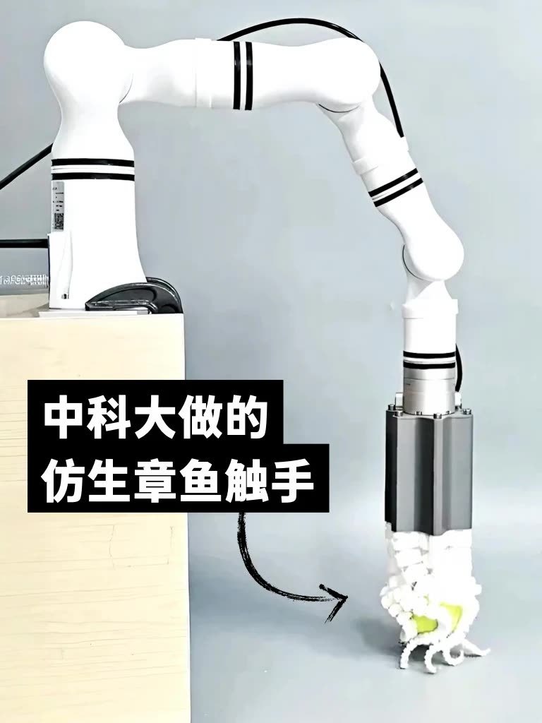 中国团队做出了一条章鱼触手，软的，能抓东西。第一眼觉得怪，第二眼就明白它好在哪了——硬爪子夹鸡蛋会碎，夹豆腐会烂，这条软胳膊不一样，越软的活儿越能接得上。我一直觉得机器人卡在一处，是手。手臂力气做到多大都不难，难的是那点分寸感，拿起一个鸡蛋不破，放下一块豆腐不塌。这事靠电机参数堆不出来，得从材料本身上下功夫。章鱼那八条腕没有一根骨头，全靠肌肉自己收放，能缠、能探、能钻进石头缝里摸东西。把它那套本事搬到机器上，思路一下就打开了。最绝的是软硬兼顾——太软使不上劲，太硬又碰不得细活，两头都占住才叫本事。做的是手，想的是怎么让机器学会“轻”。这份分寸感，才叫真本事。