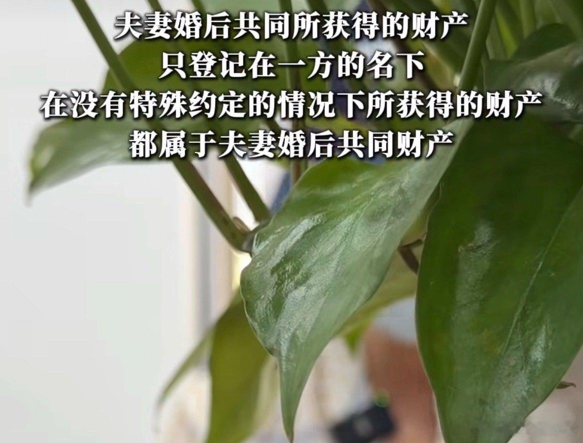 #母亲再婚继父想让亲儿子独占房产#

广州刘阿姨和继父重组家庭三十余年，婚后共同购置房产登记在继父名下。继弟想要独占这套房子，继父也持偏袒态度。

刘阿姨选择依法订立遗嘱，锁定自己名下房产份额，为女儿保住属于她的财产权益。 ​