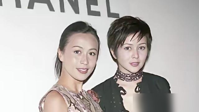 刘嘉玲关之琳同框，关之琳那张无滤镜的脸，直接把“岁月不败美人”这句话干碎了。
62岁的关之琳住1.5亿半山豪宅，天天组局开趴，可镜头怼脸那一刻，胶原蛋白是一点没给她留。刘嘉玲站旁边，腰背挺得跟钢板似的，那股子“老娘还能再战三十年”的劲，压都压不住。
这俩人2015年因为陈泰铭爬山那点事彻底闹掰，