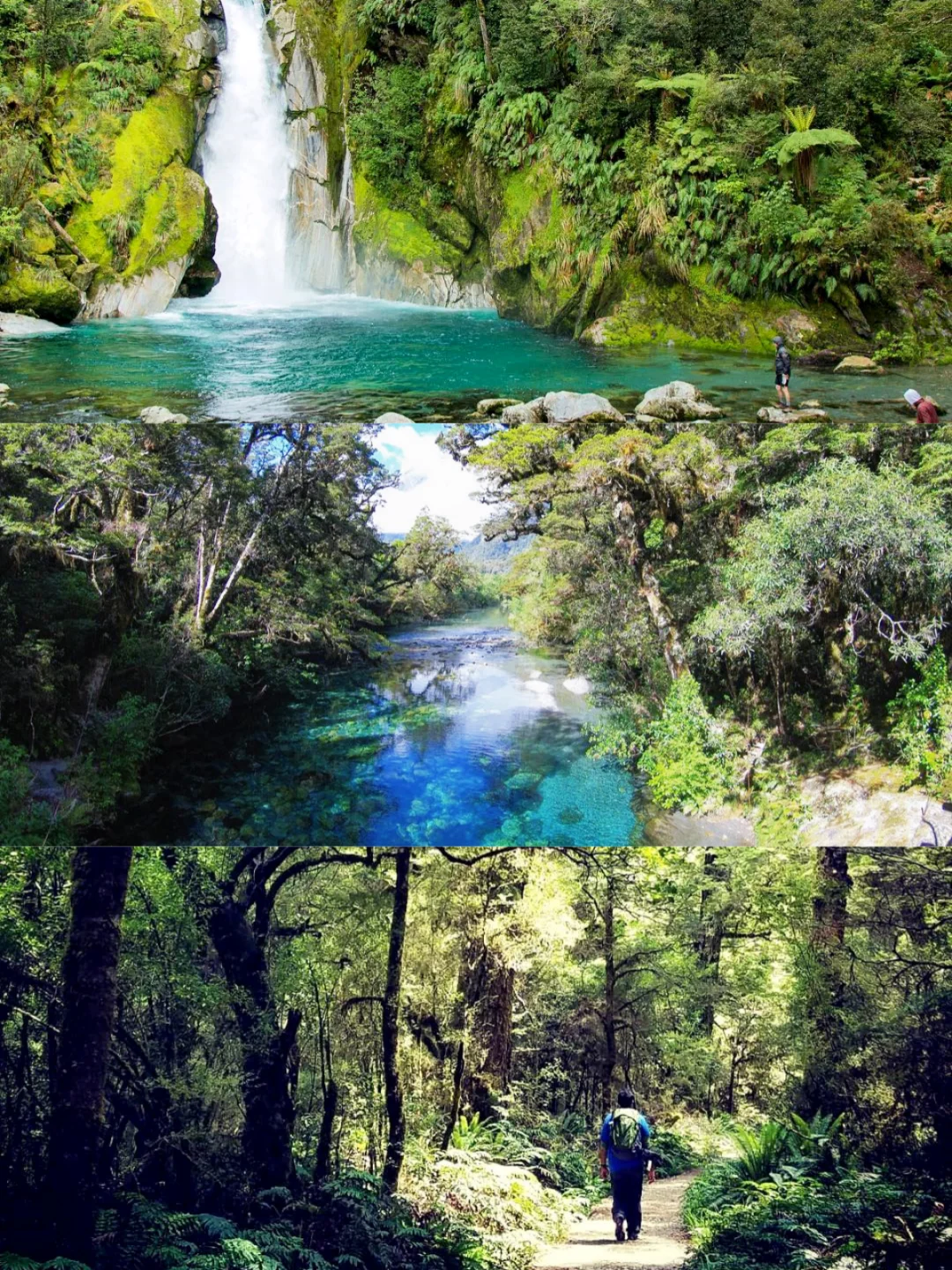 😅新西兰，不预约走Milford Track的方法