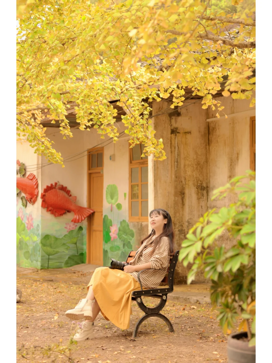 南雄帽子峰🍁 两天一夜避开人群高峰攻略