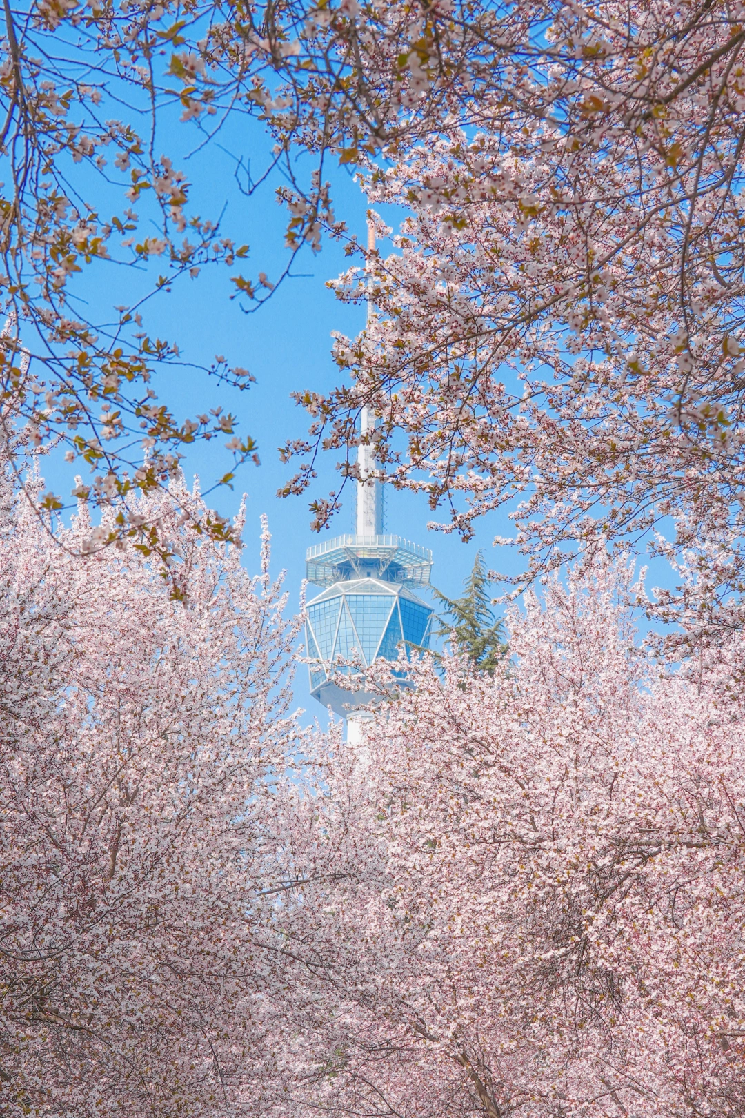 卧槽卧槽！！西安人的北海道…太震撼了