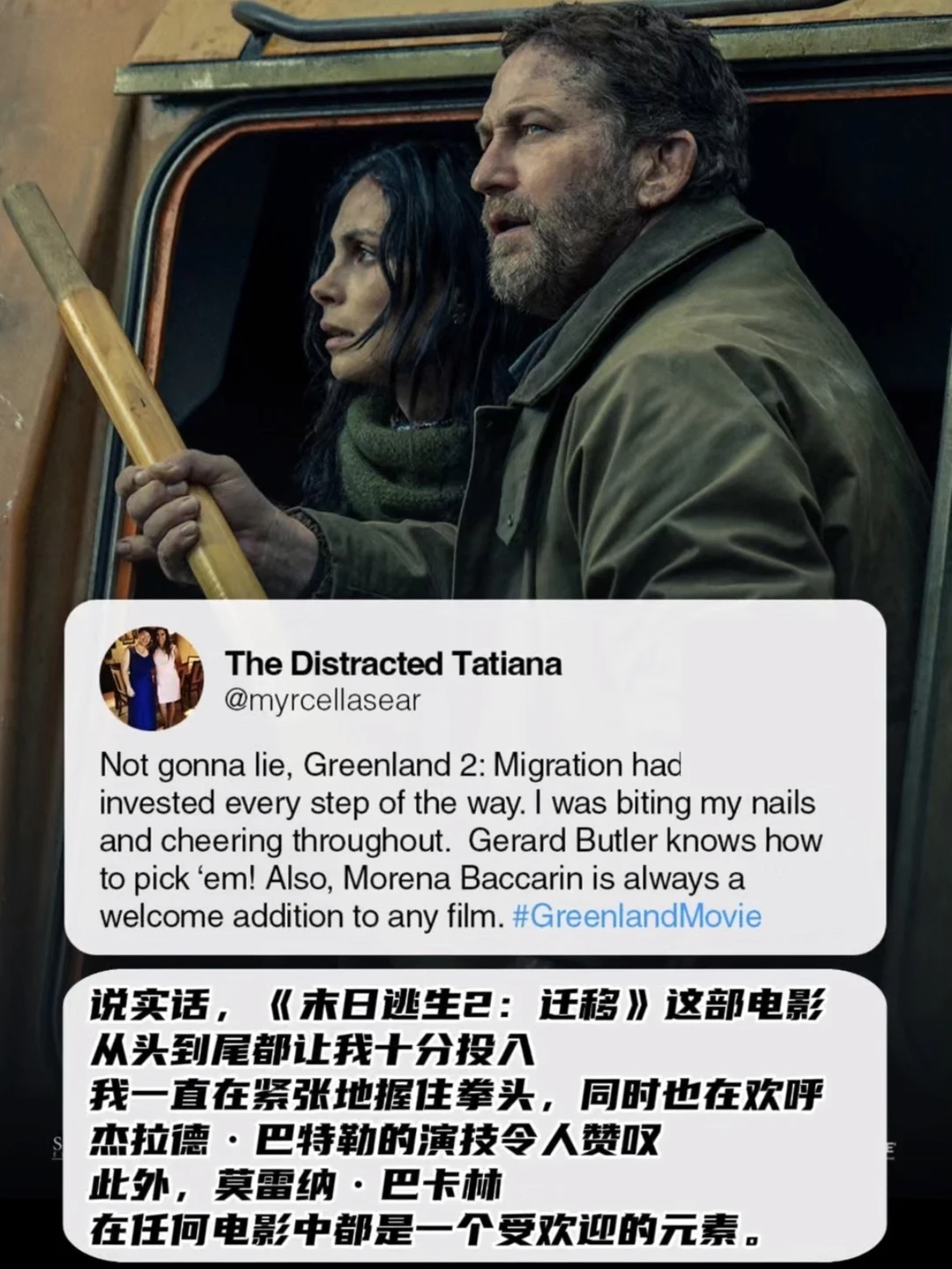 开年解压天花板！这部末日灾难大片鲨疯了