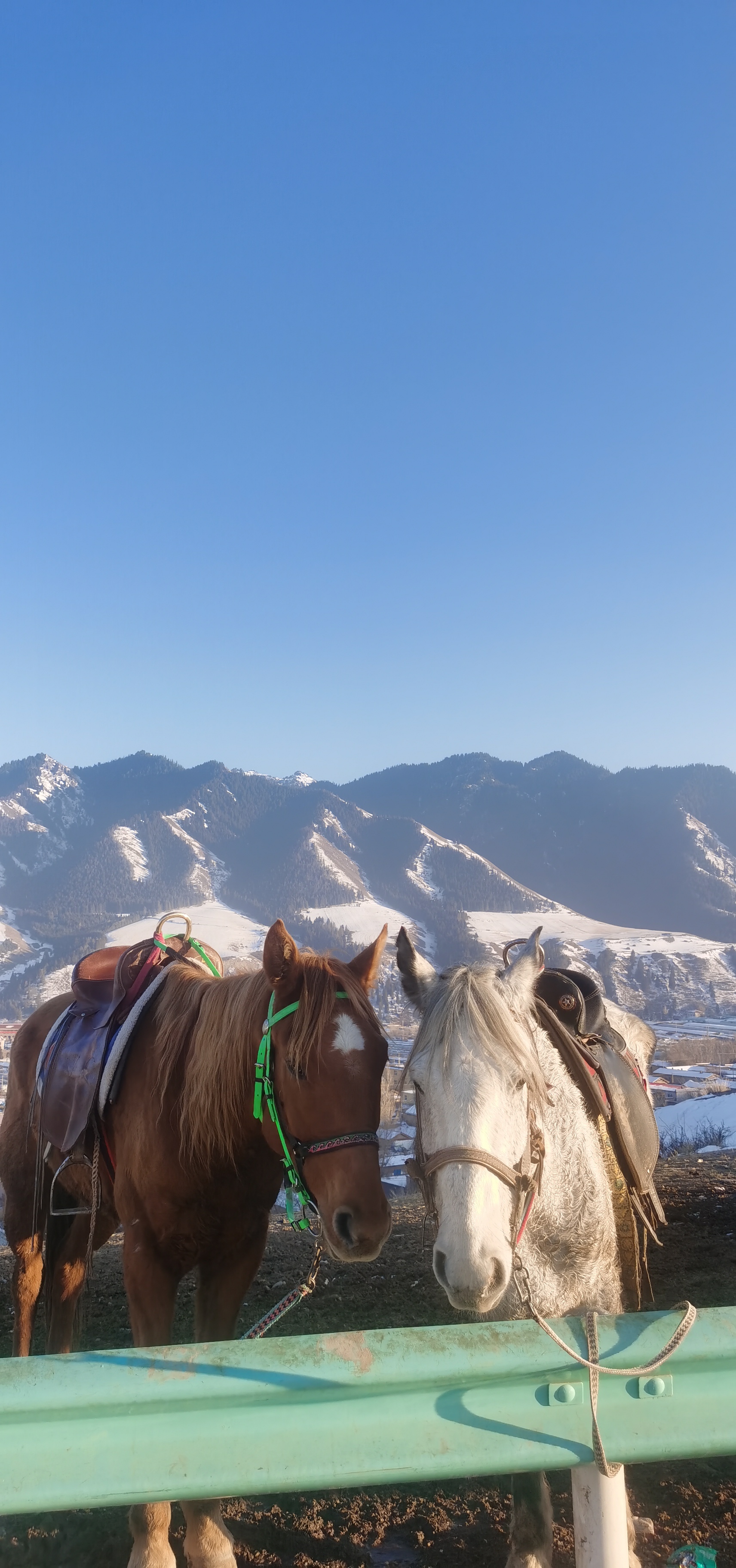 43岁出轨男的婚后真相：新鲜感过期后，浪漫全是假象  43岁的老周在单...