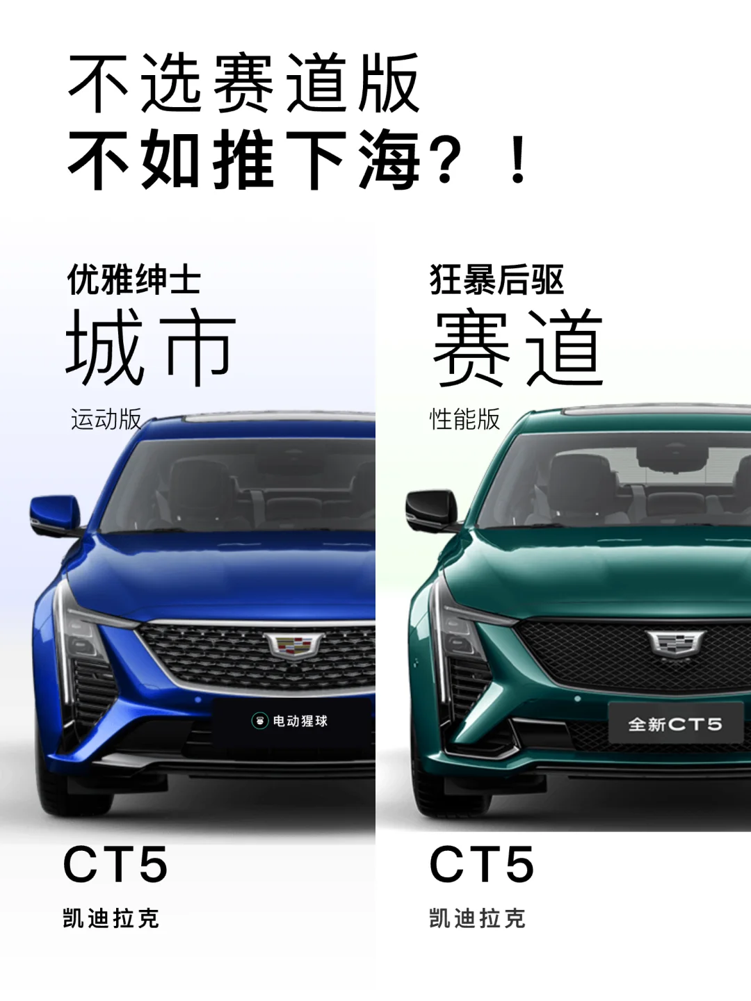 不选赛道版，不如推下海？