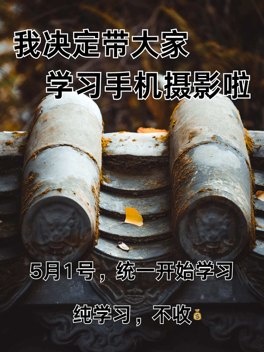 我决定带大家学习手机摄影啦！！